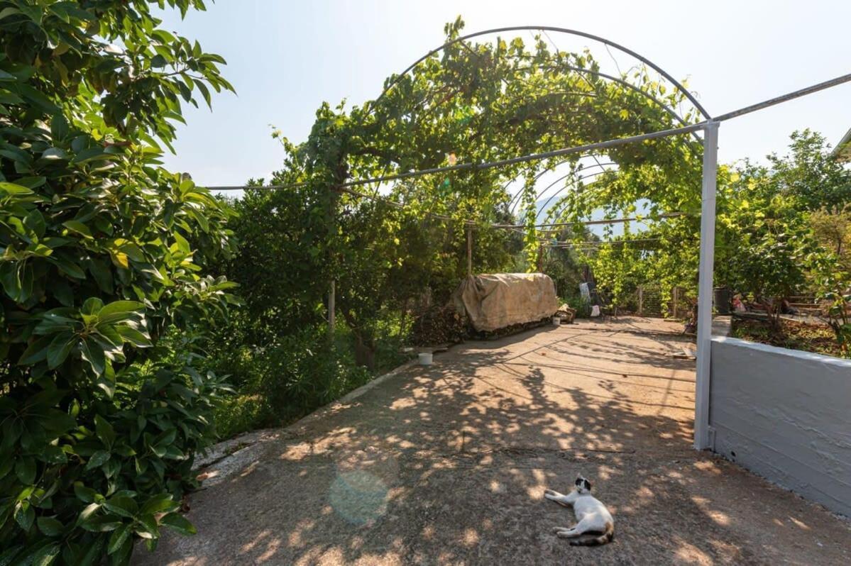 Holiday home Serene Seaside Bliss - Lush & Secluded Garden Oasis Kalamata